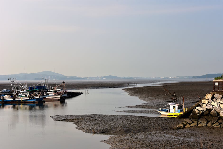 Dongmak beach Ganghwado tidal flat sunset, Korea tidal flat camping