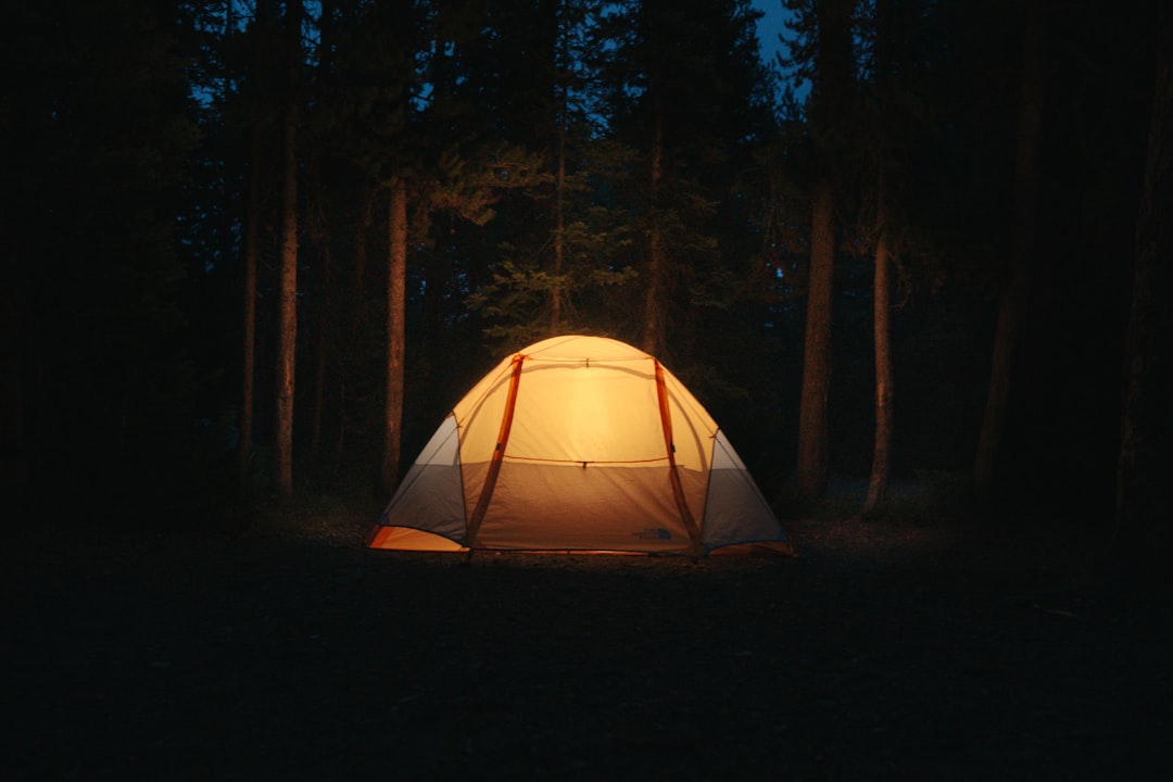 campsite morning light, tent forest sunrise, outdoor camping gear setup