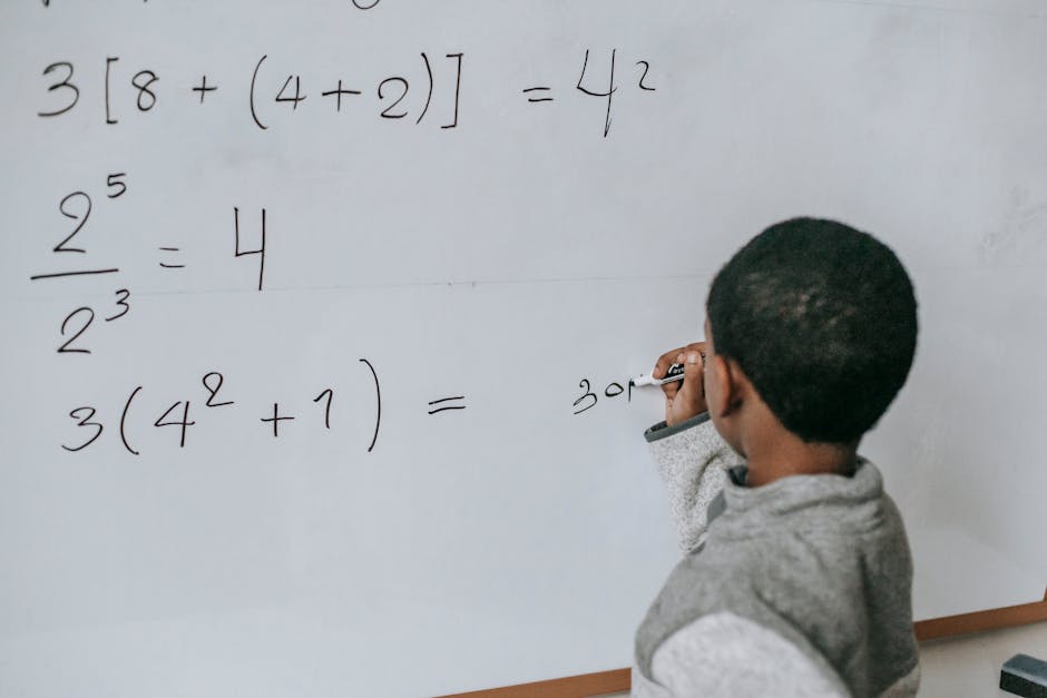 child brain development math education, golden age learning