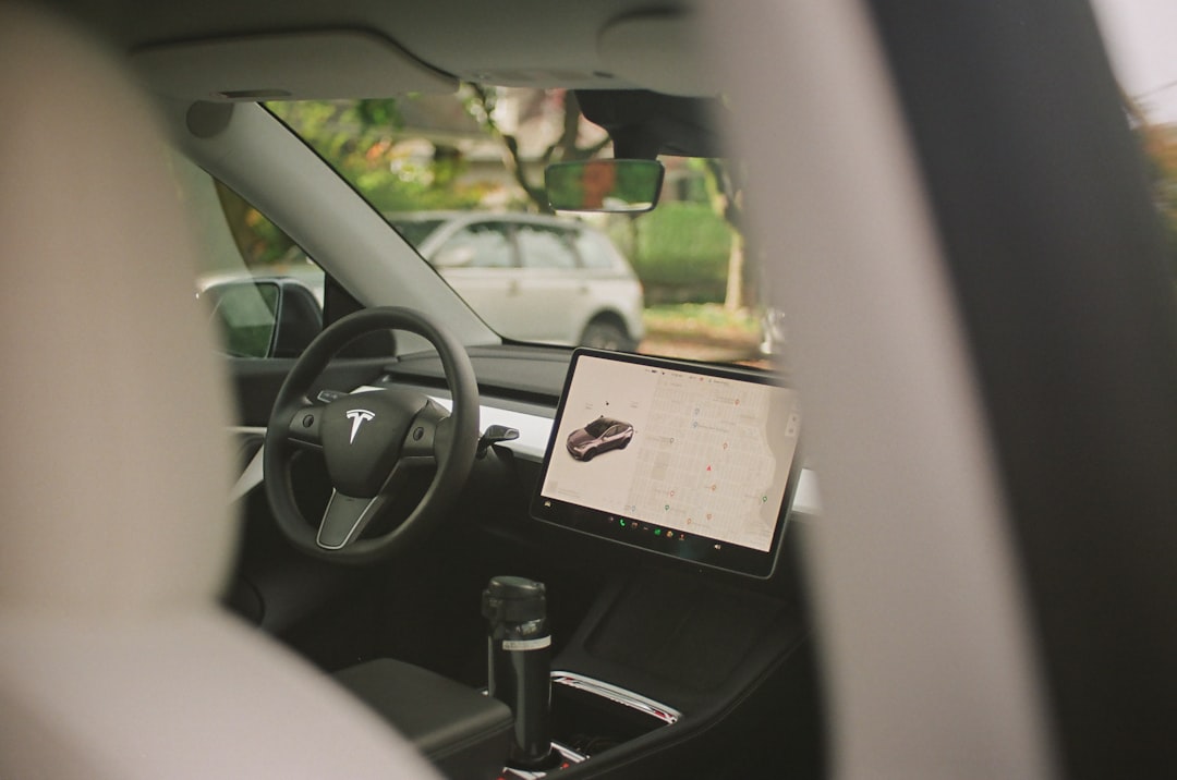 Tesla Model Y Juniper interior rear screen ambient light