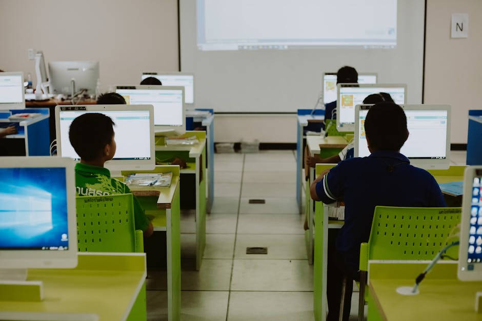 child coding education, elementary school programming class