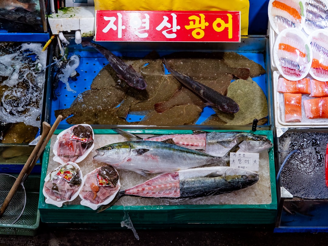 fresh mackerel fish market Korea, whole mackerel close-up